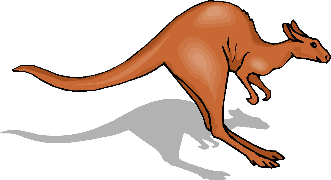 Kangourous clipart