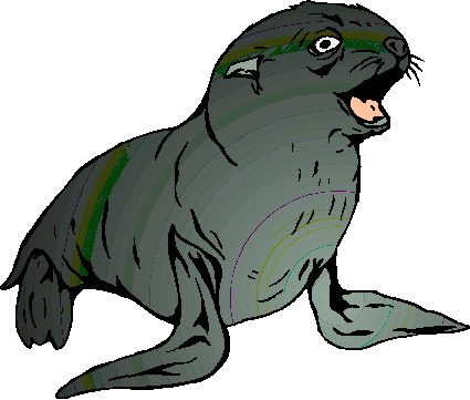 Les phoques et les phoques clipart