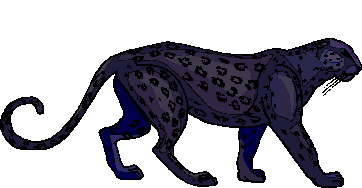 Pantheres