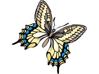 Papillons clipart