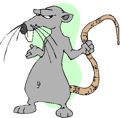 Rats clipart