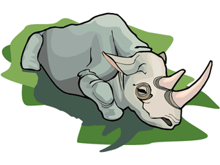 Rhinos clipart