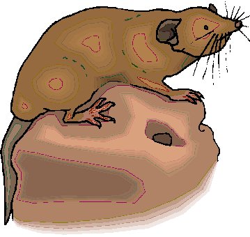 Taupes clipart