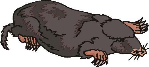 Taupes clipart