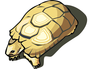 Tortue clipart