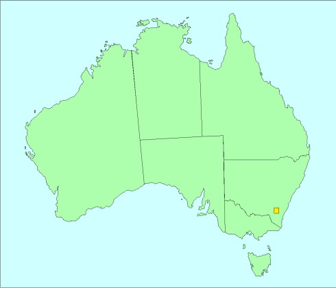 Australie clipart