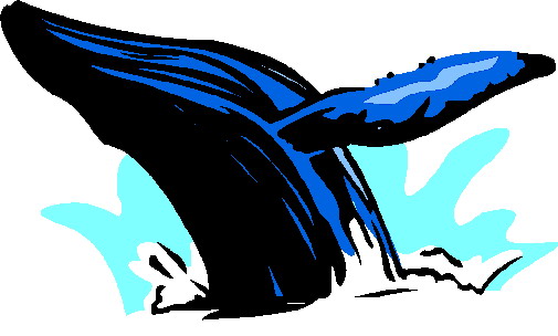 Baleines clipart
