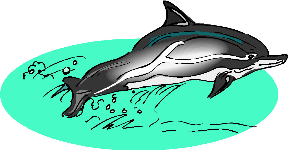 Dauphins clipart