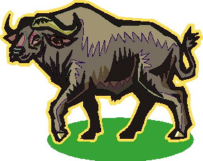 Buffalo clipart
