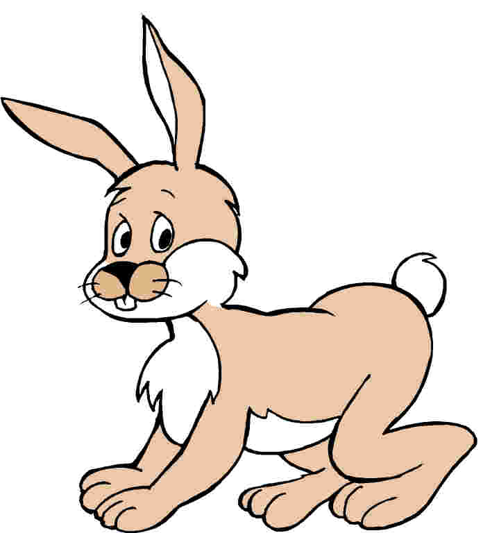 Lapins clipart