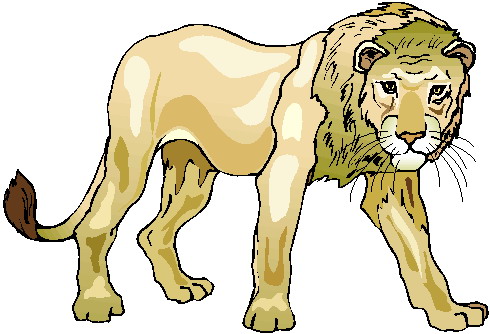 Lions clipart