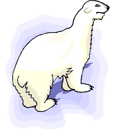 Ours polaire clipart