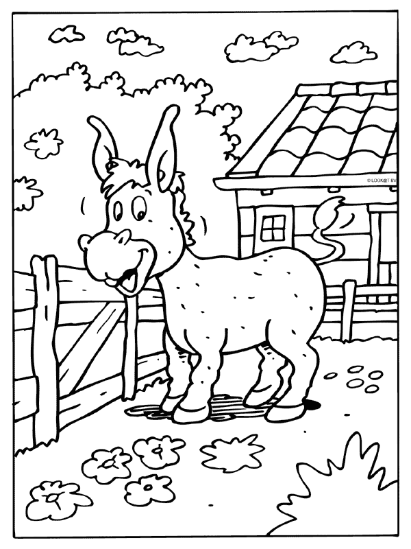 Animaux coloriages