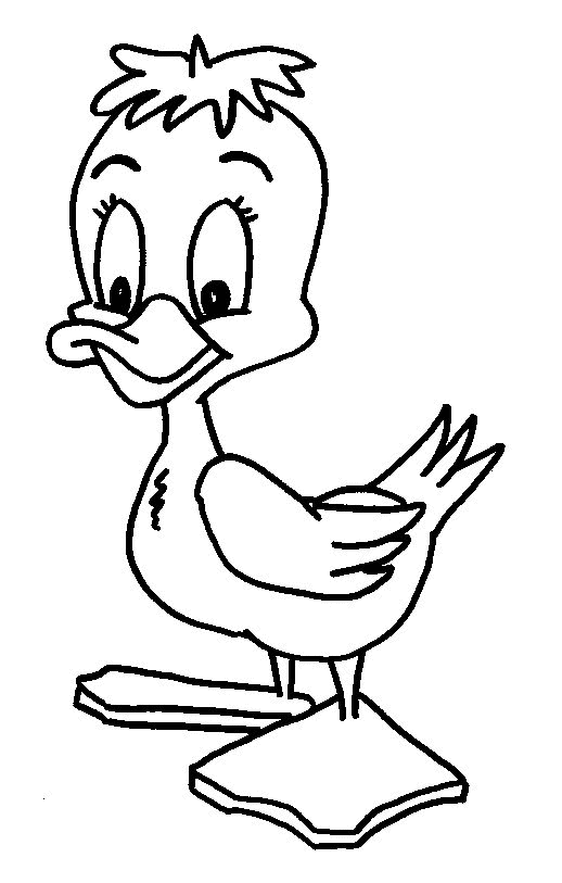 Canards coloriages