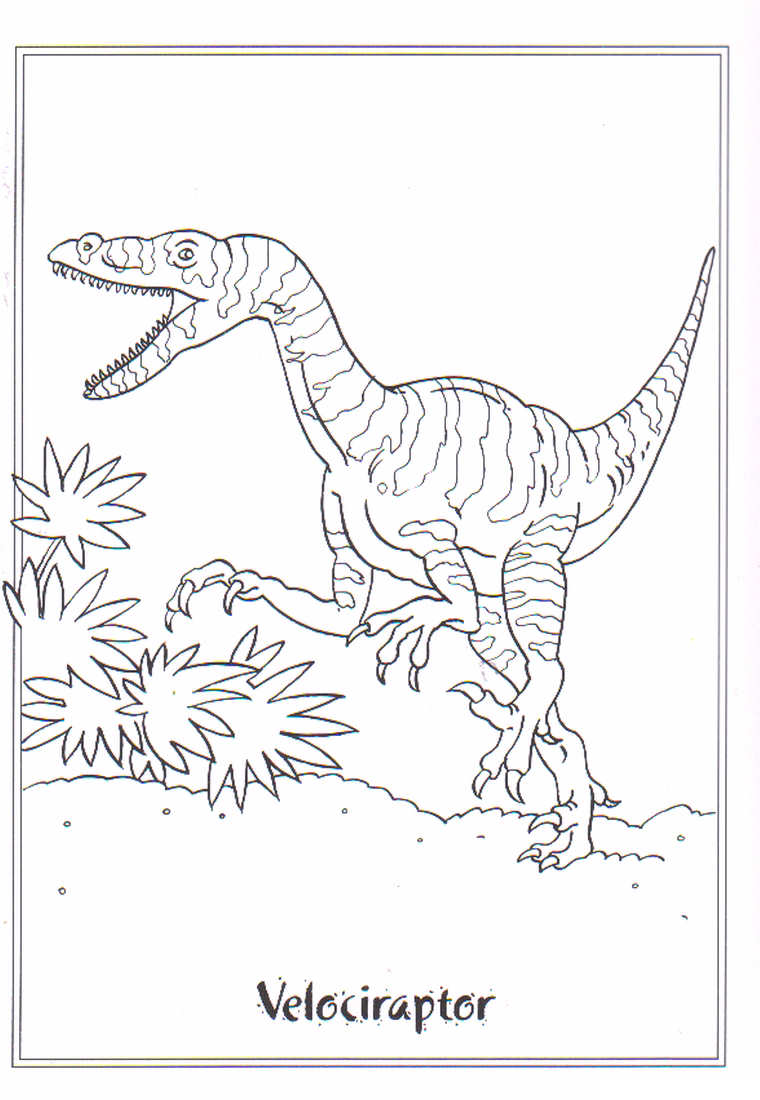 Dinosaure coloriages