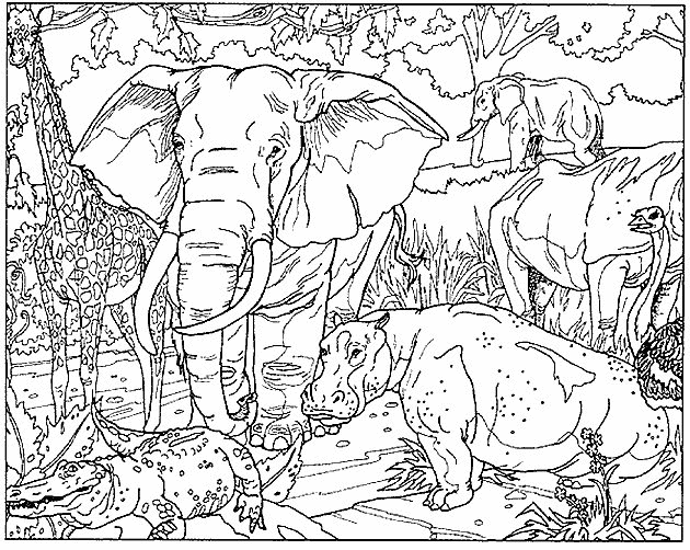 Elephants coloriages