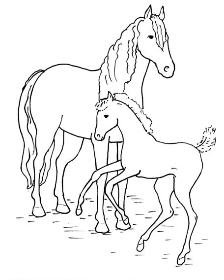 Equine coloriages