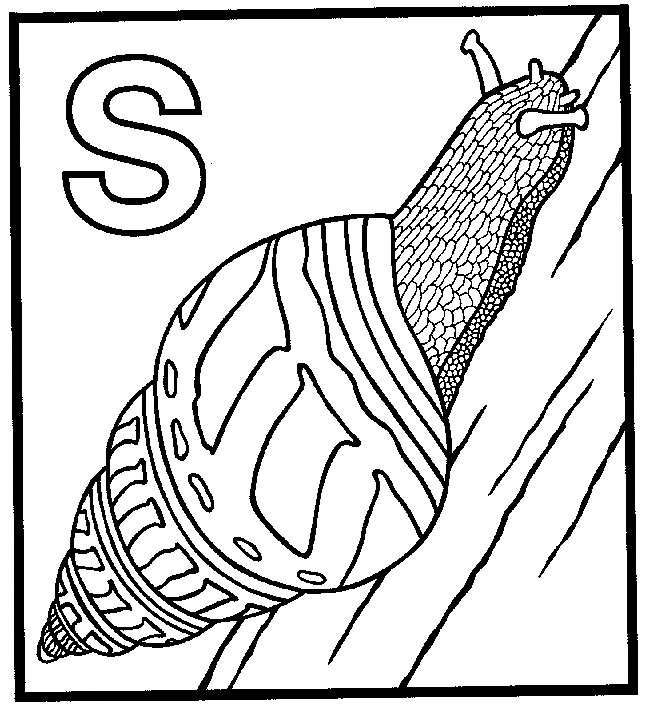 Escargots coloriages