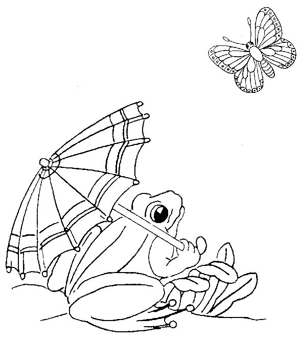 Grenouille coloriages