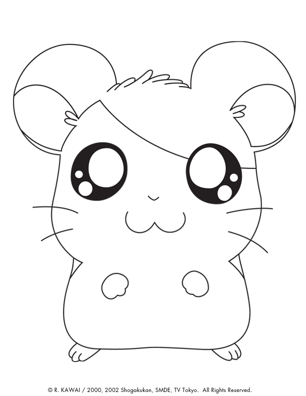 Hamsters coloriages