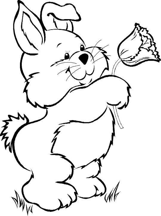 Lapin coloriages