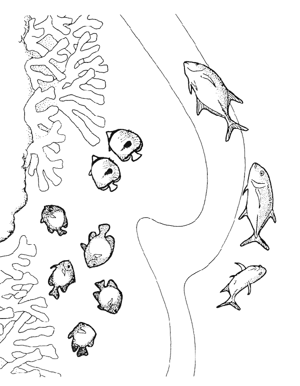 Poisson coloriages