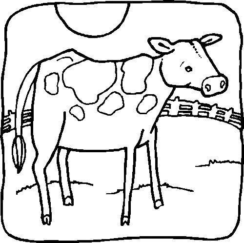 Vache