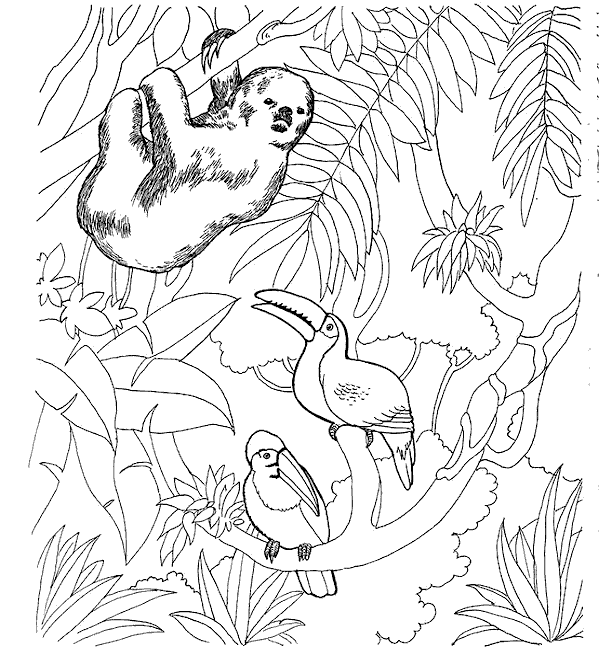Zoo coloriages