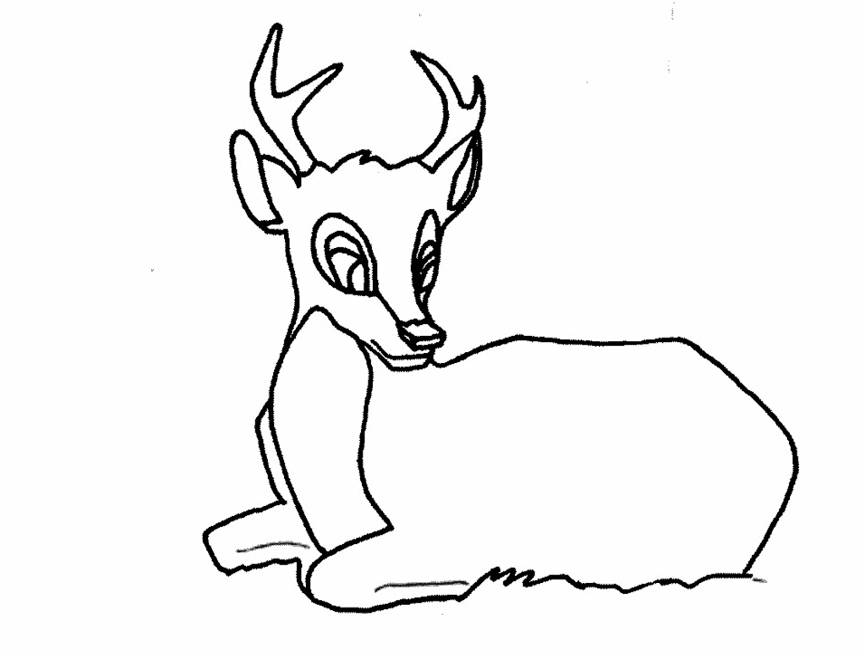 Cerf coloriages
