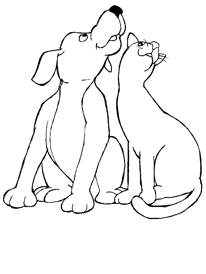 Chats coloriages