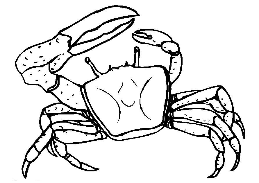 Crabe coloriages