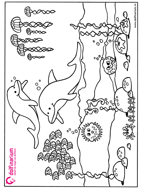 Delphinarium coloriages