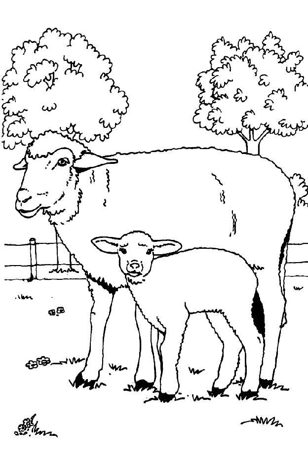 Moutons coloriages
