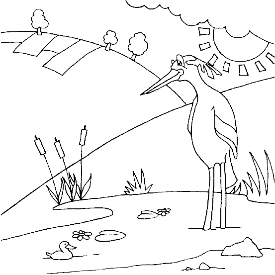 Oiseau