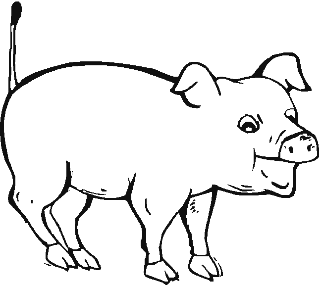 Porc coloriages