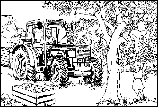 Ranch coloriages