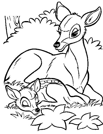 Bambi coloriages