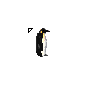 Penguin cursors