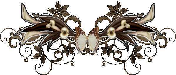 Papillons diviseur