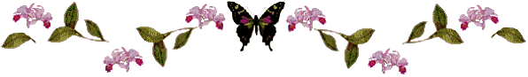 Papillons diviseur