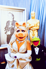 The muppets