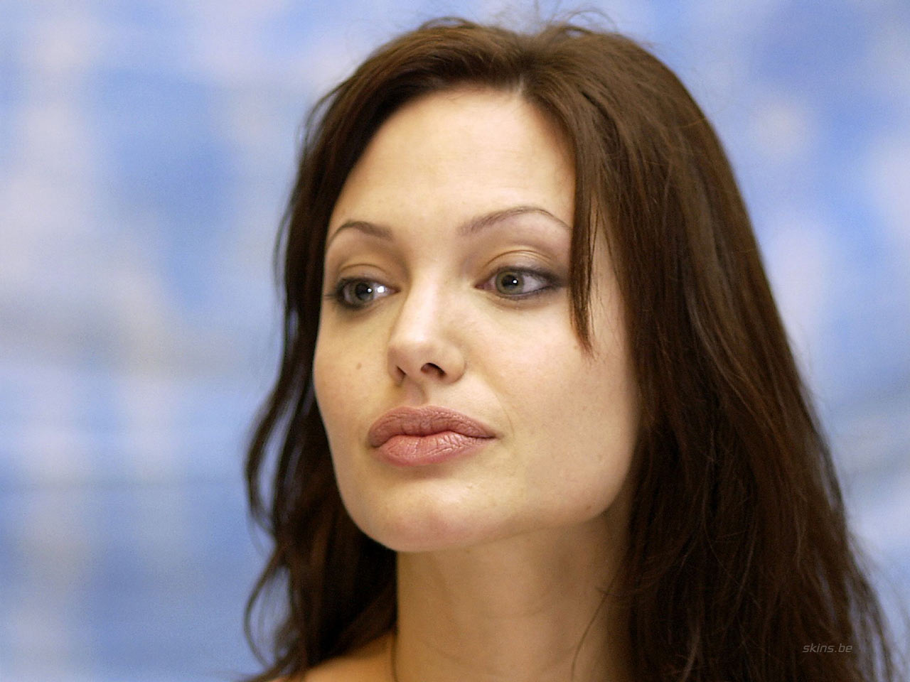 Angelina jolie fonds ecran