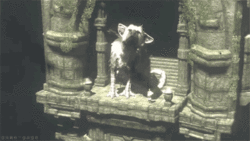 The last guardian game gifs