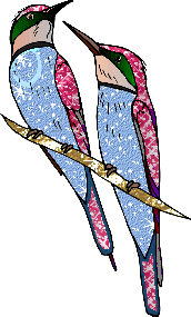 Colibri glitter gifs