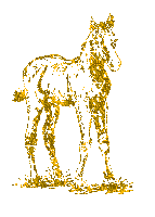 Equine glitter gifs