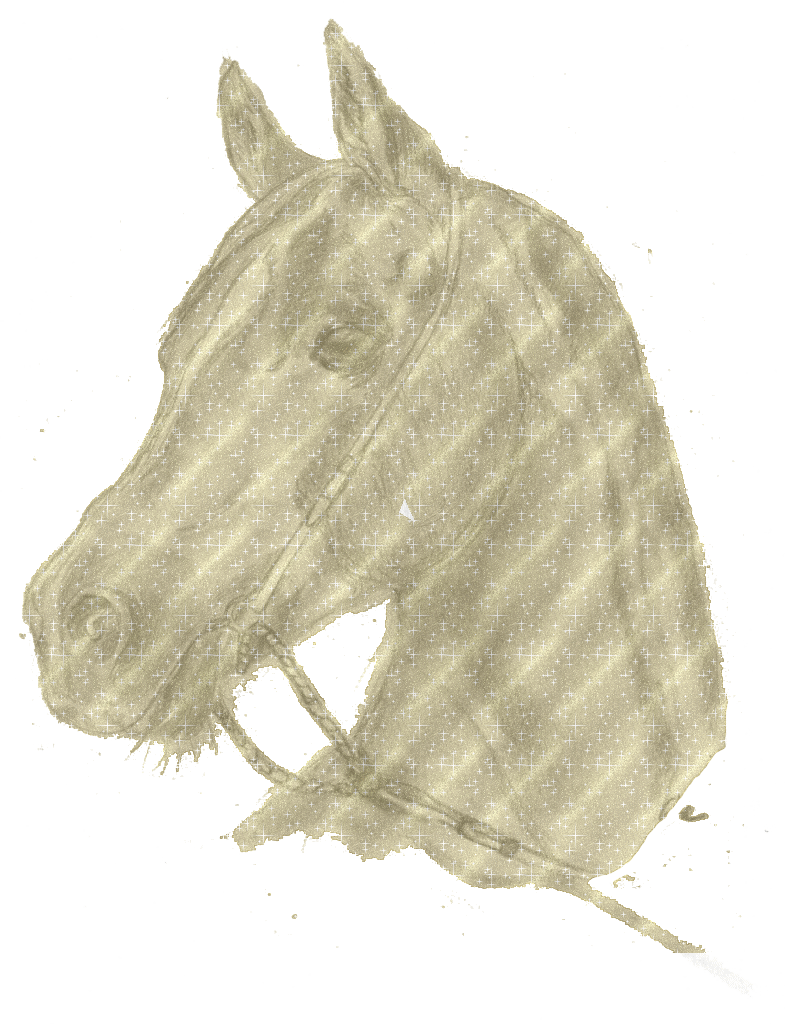 Equine glitter gifs