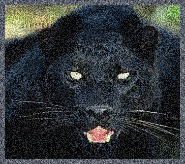 Panthere glitter gifs