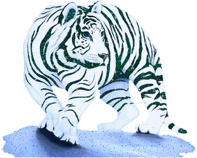 Tigre blanc glitter gifs