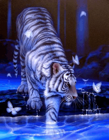 Tigres glitter gifs