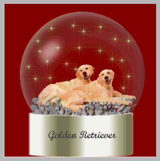 Globes chiens globes
